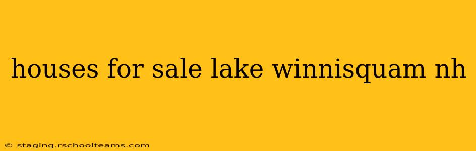 houses for sale lake winnisquam nh