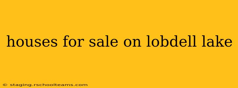 houses for sale on lobdell lake