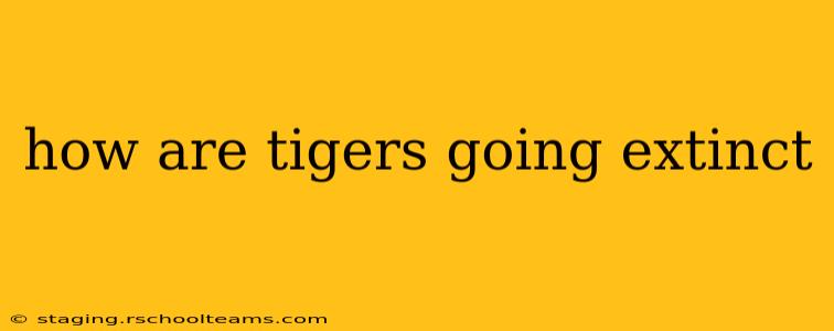 how are tigers going extinct