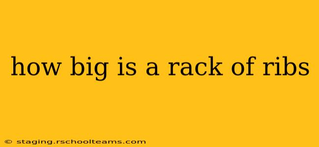 how big is a rack of ribs