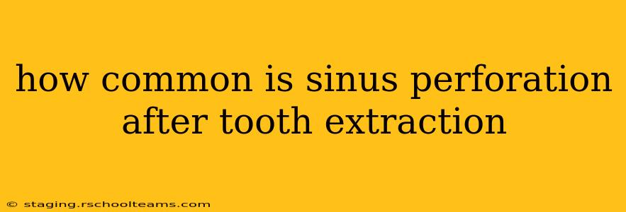 how common is sinus perforation after tooth extraction