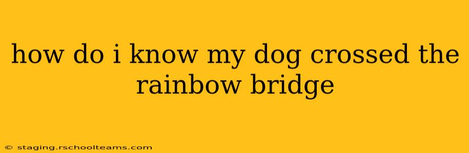 how do i know my dog crossed the rainbow bridge