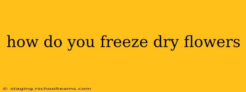how do you freeze dry flowers