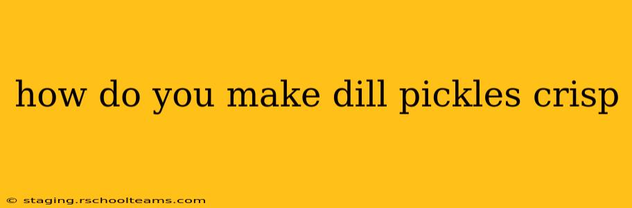 how do you make dill pickles crisp