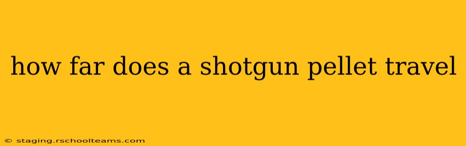 how far does a shotgun pellet travel