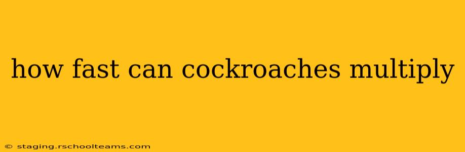 how fast can cockroaches multiply
