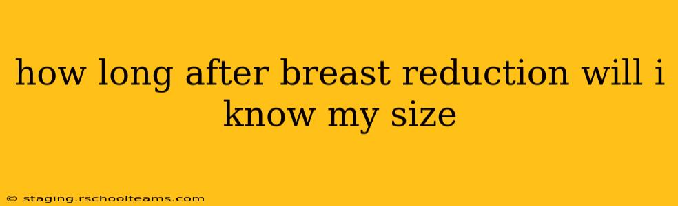 how long after breast reduction will i know my size