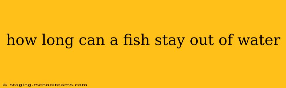 how long can a fish stay out of water