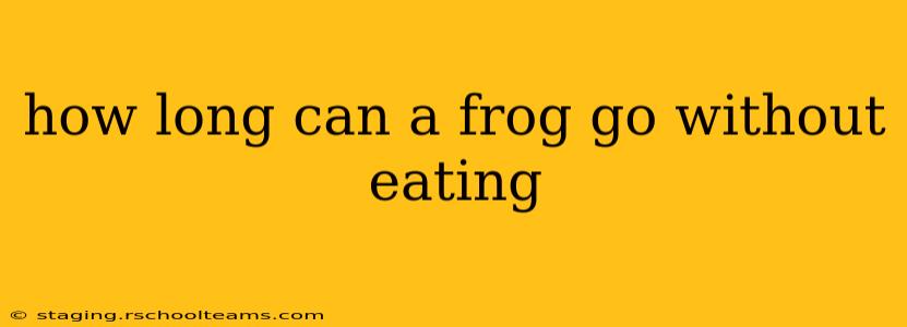 how long can a frog go without eating