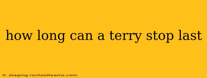 how long can a terry stop last