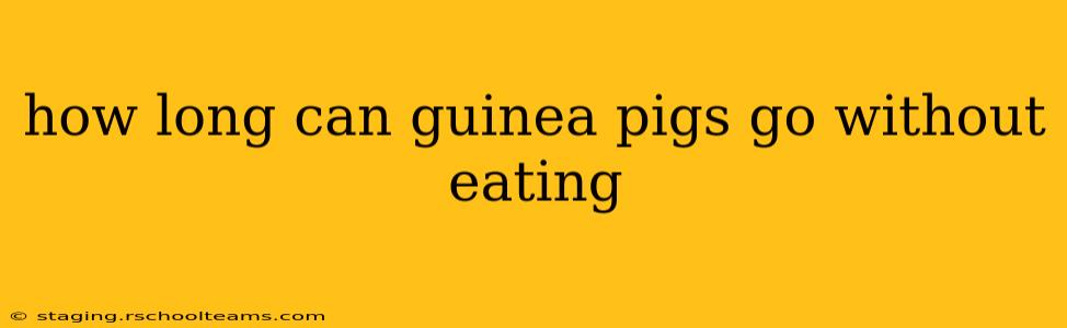 how long can guinea pigs go without eating
