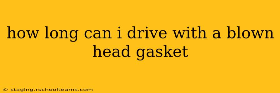 how long can i drive with a blown head gasket