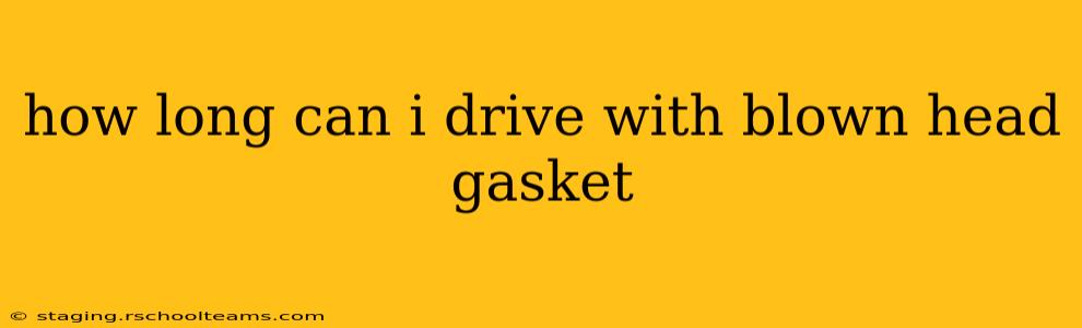 how long can i drive with blown head gasket