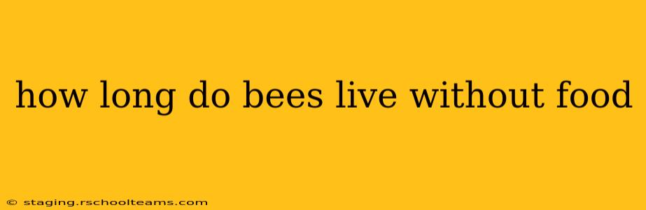 how long do bees live without food