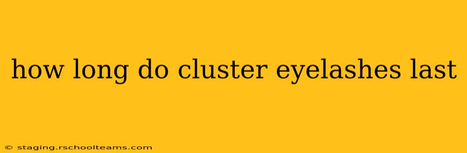 how long do cluster eyelashes last