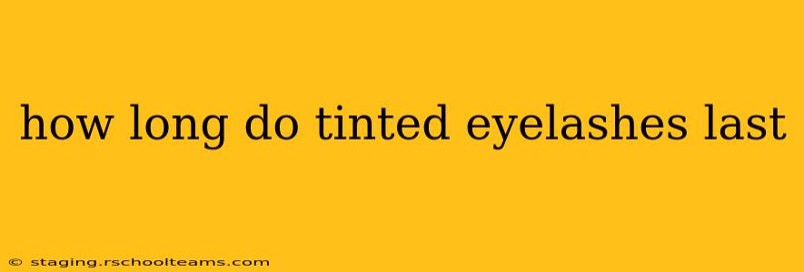 how long do tinted eyelashes last
