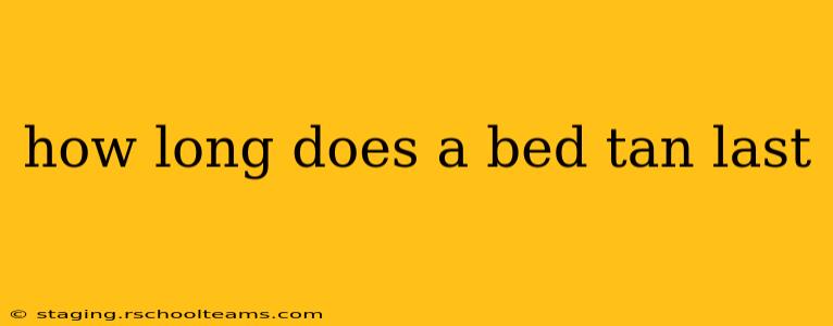 how long does a bed tan last