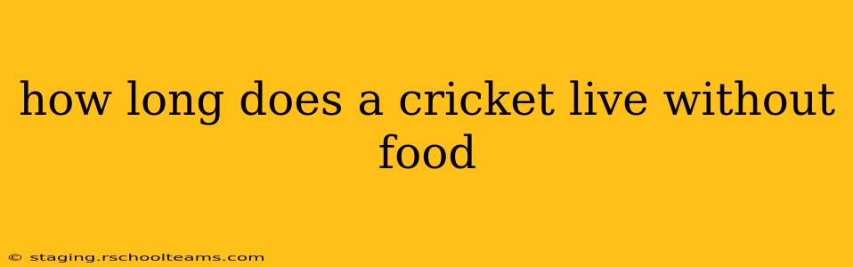 how long does a cricket live without food