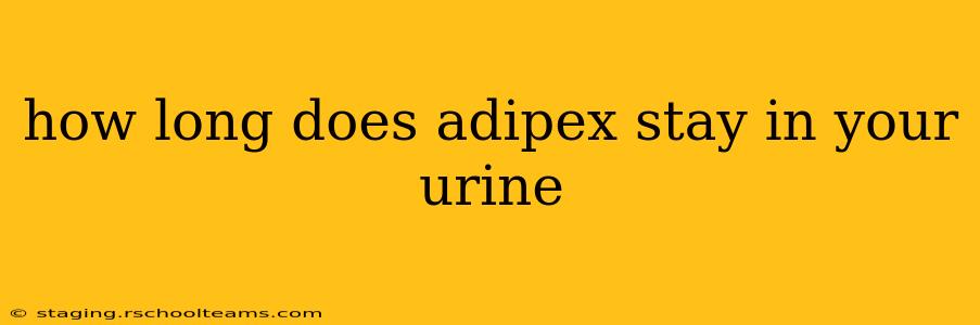 how long does adipex stay in your urine