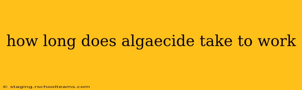 how long does algaecide take to work