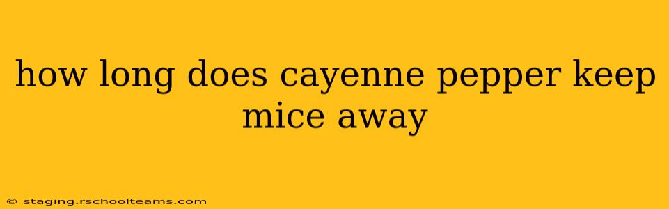 how long does cayenne pepper keep mice away