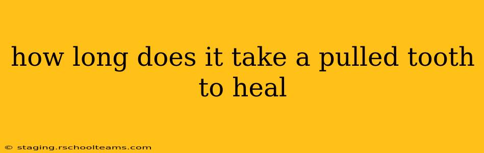 how long does it take a pulled tooth to heal