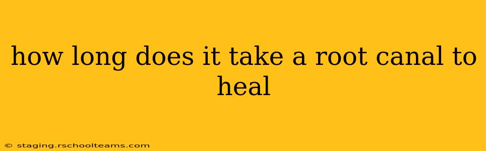 how long does it take a root canal to heal