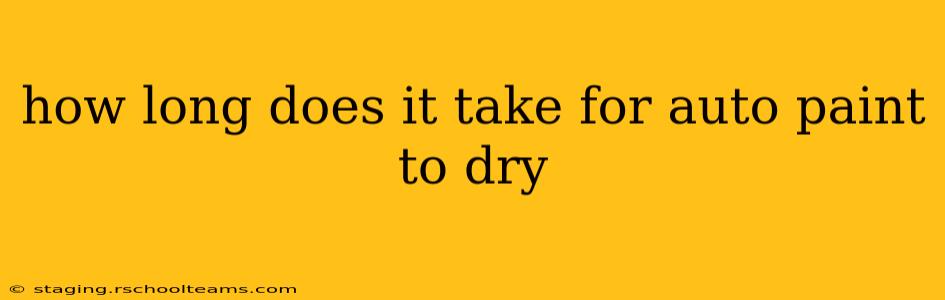how long does it take for auto paint to dry