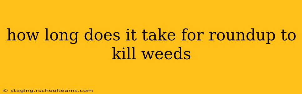 how long does it take for roundup to kill weeds