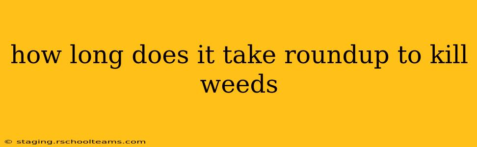 how long does it take roundup to kill weeds