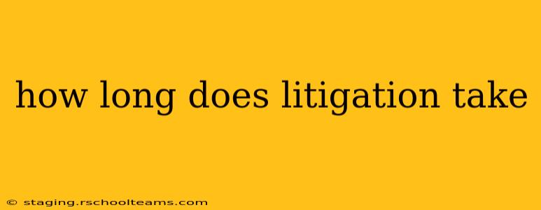 how long does litigation take