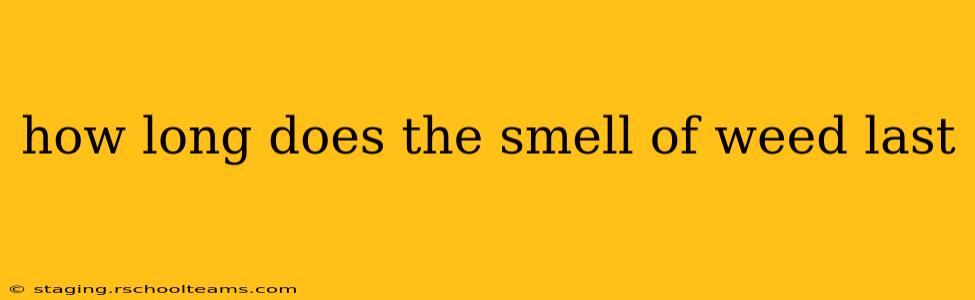 how long does the smell of weed last