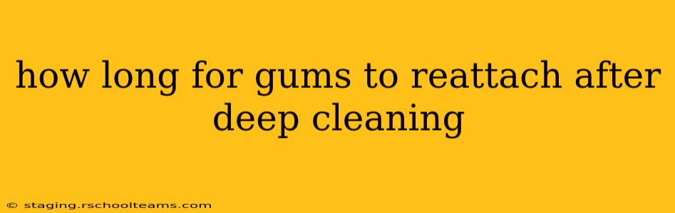 how long for gums to reattach after deep cleaning