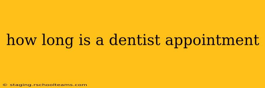 how long is a dentist appointment