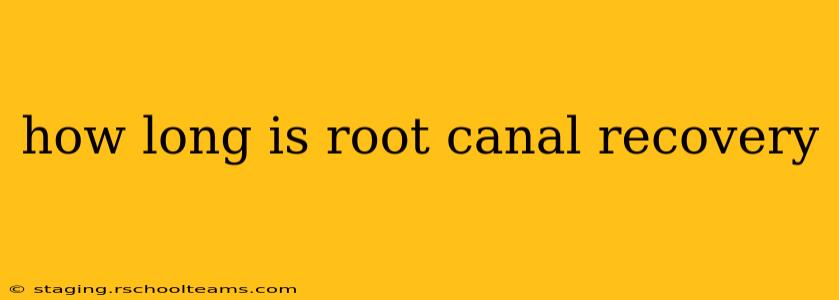 how long is root canal recovery