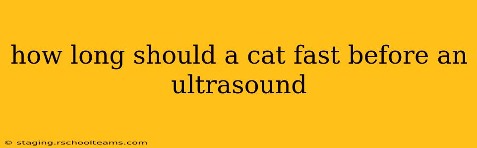 how long should a cat fast before an ultrasound
