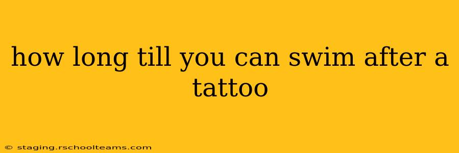 how long till you can swim after a tattoo