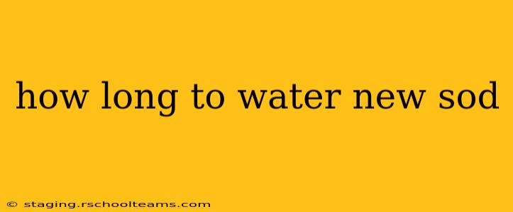 how long to water new sod