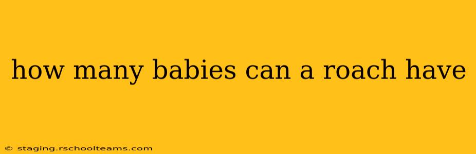 how many babies can a roach have