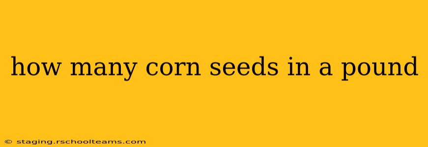 how many corn seeds in a pound