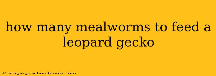 how many mealworms to feed a leopard gecko