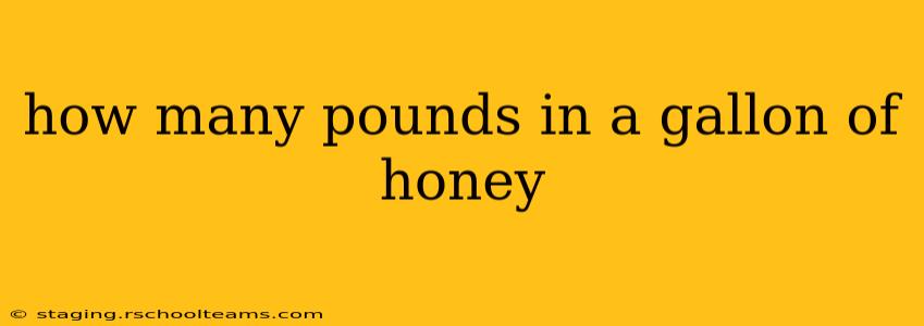 how many pounds in a gallon of honey