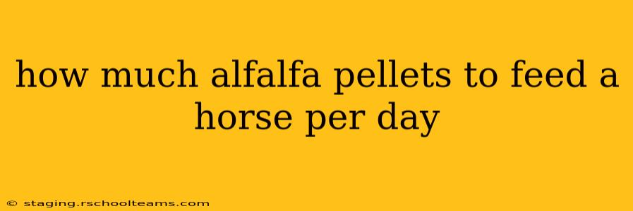 how much alfalfa pellets to feed a horse per day