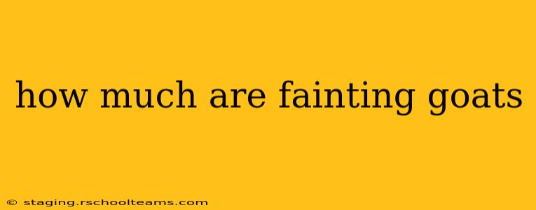 how much are fainting goats