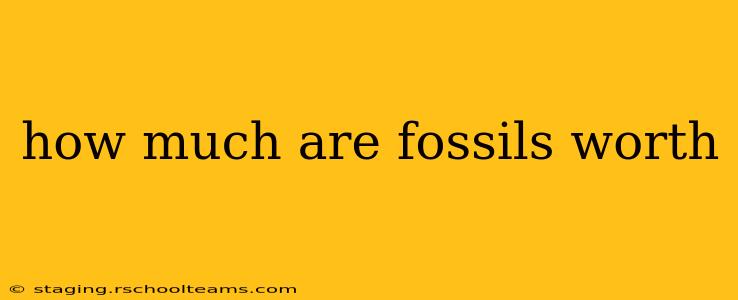 how much are fossils worth