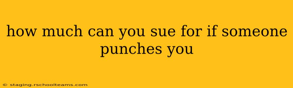 how much can you sue for if someone punches you