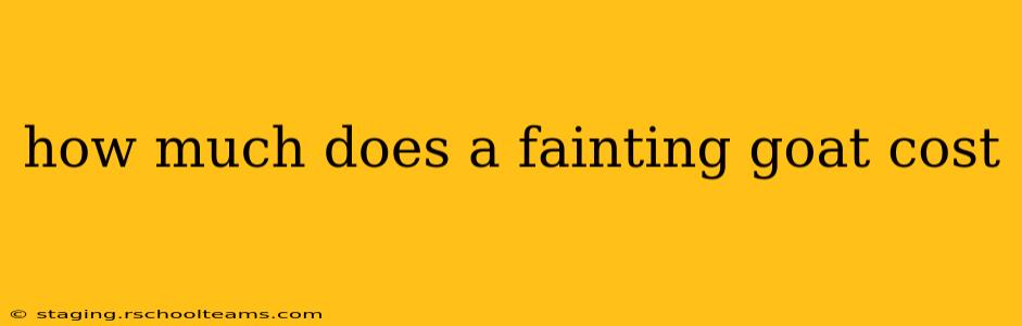 how much does a fainting goat cost