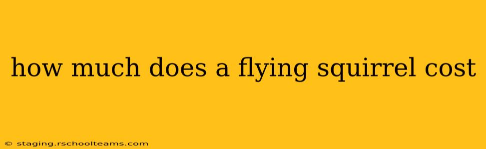 how much does a flying squirrel cost