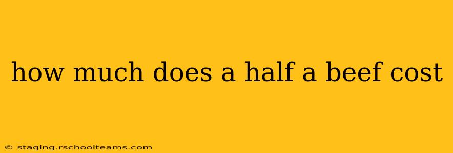 how much does a half a beef cost