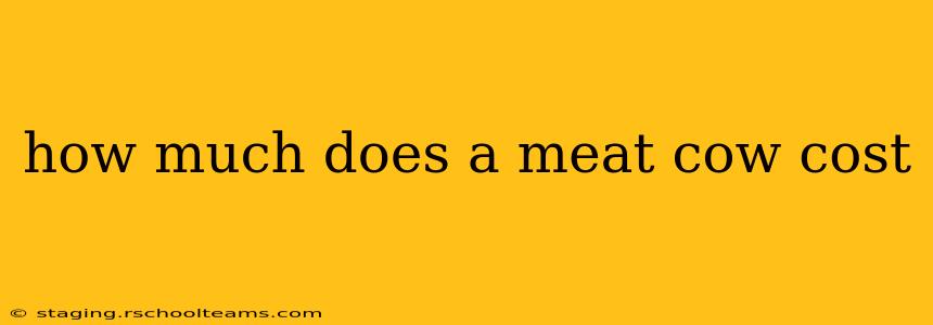 how much does a meat cow cost